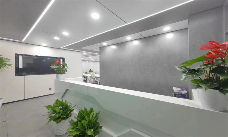 长江新能源大厦——黄浦区的绿色商务引领者