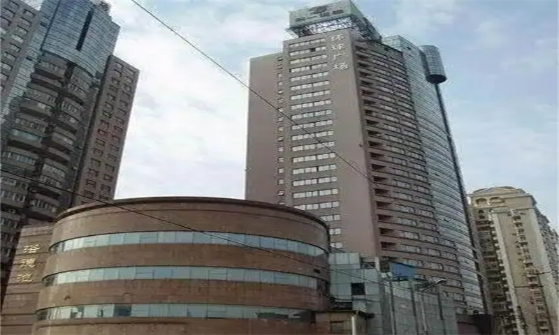 桃林商务大厦