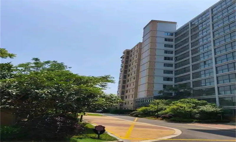 梧桐国际.webp.jpg